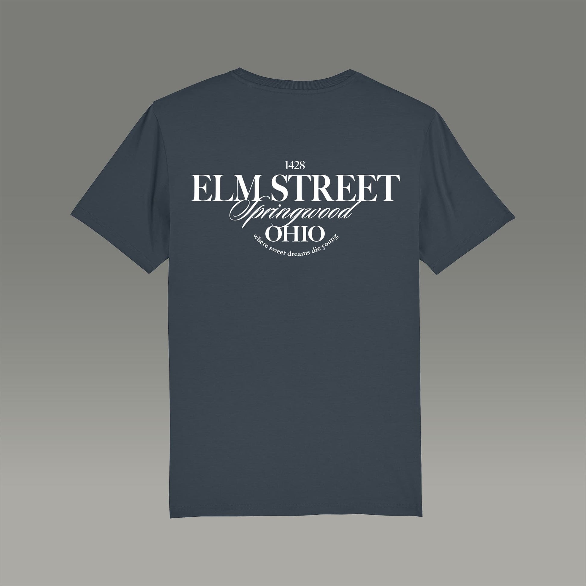 Rückansicht T-Shirt Herren in graublau mit Typo Aufdruck Elmstreet Ohio